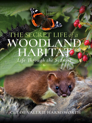 cover image of The Secret Life of a Woodland Habitat